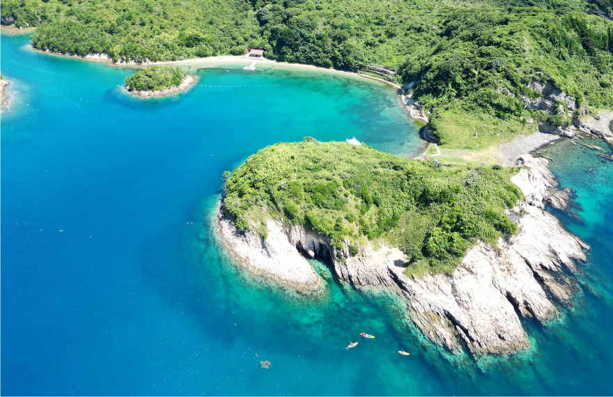 島津島