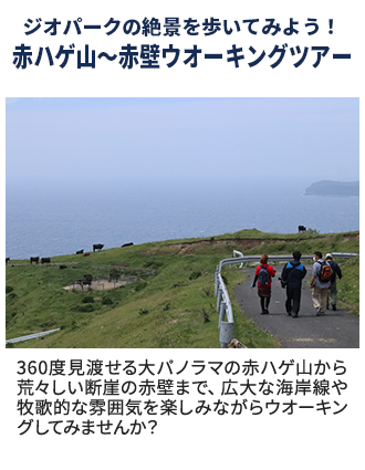 ジオパークの絶景を歩いてみよう！赤ハゲ山～赤壁ウオーキングツアー