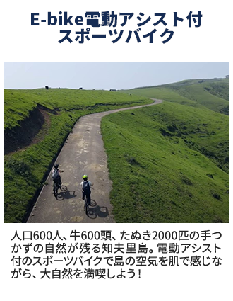 E-bike電動アシスト付スポーツバイク