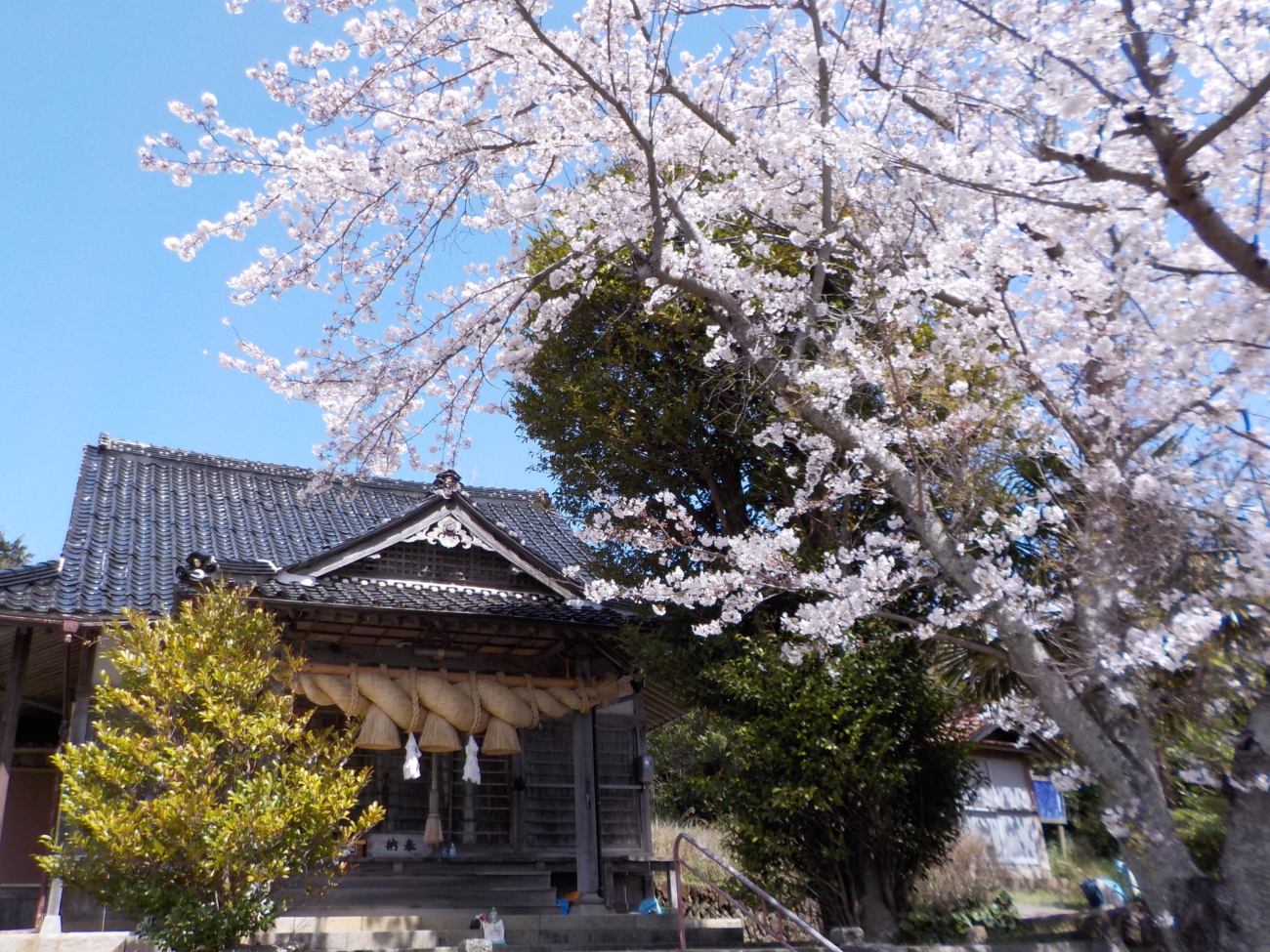 天佐志比古命神社（一宮神社）