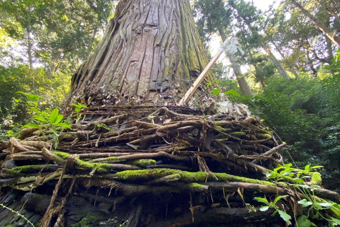 ライターの心震えた隠岐の風景。巨石・巨木信仰の跡をたどる