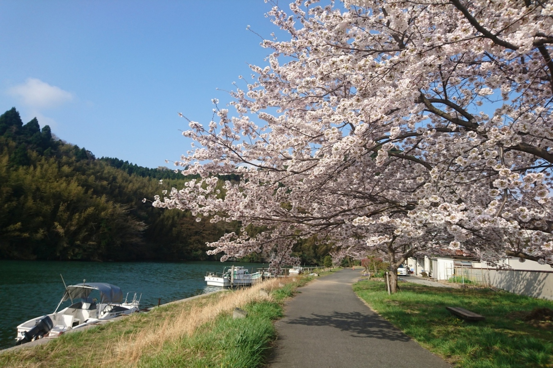 Yabi-gawa Kappa Kōen Park, Okinoshima Town