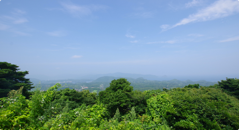 金光寺山