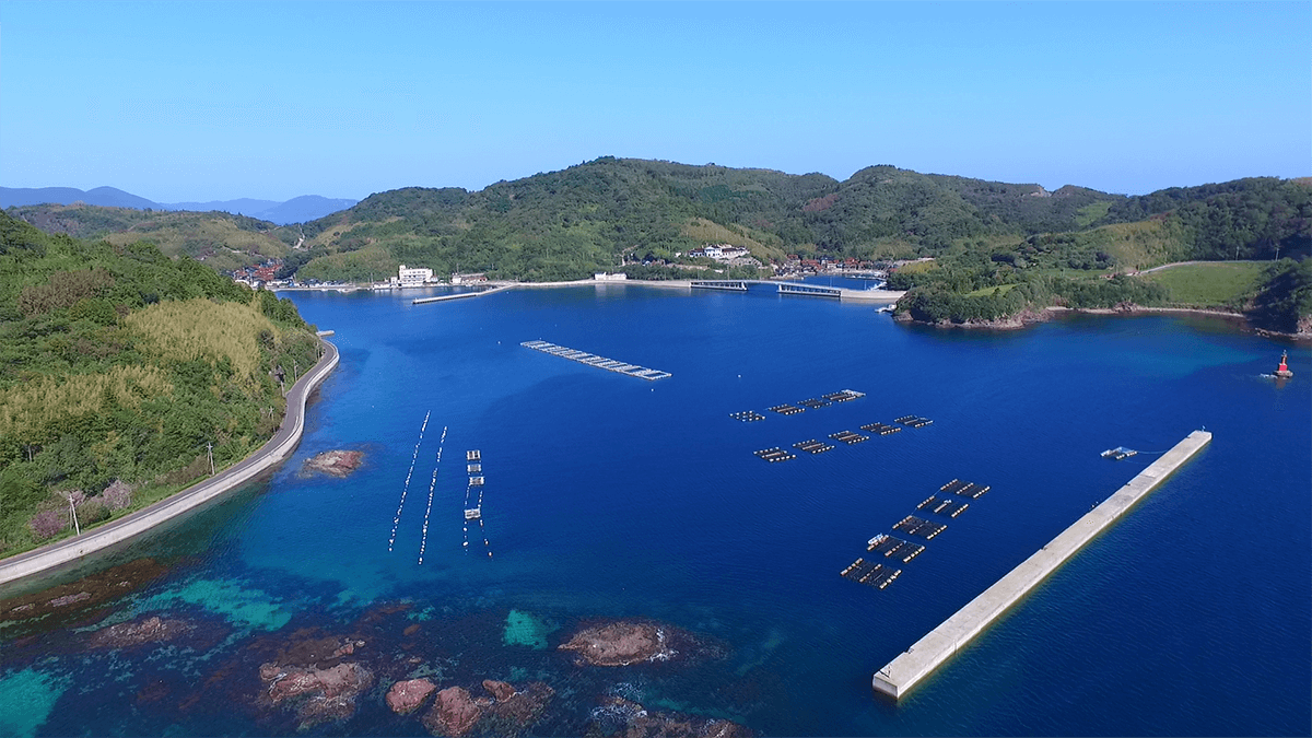 岩ガキ養殖場