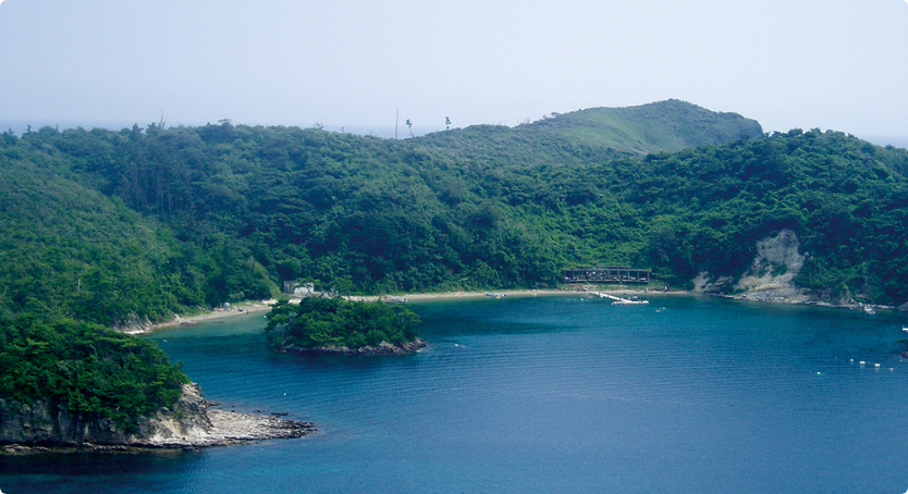 島津島