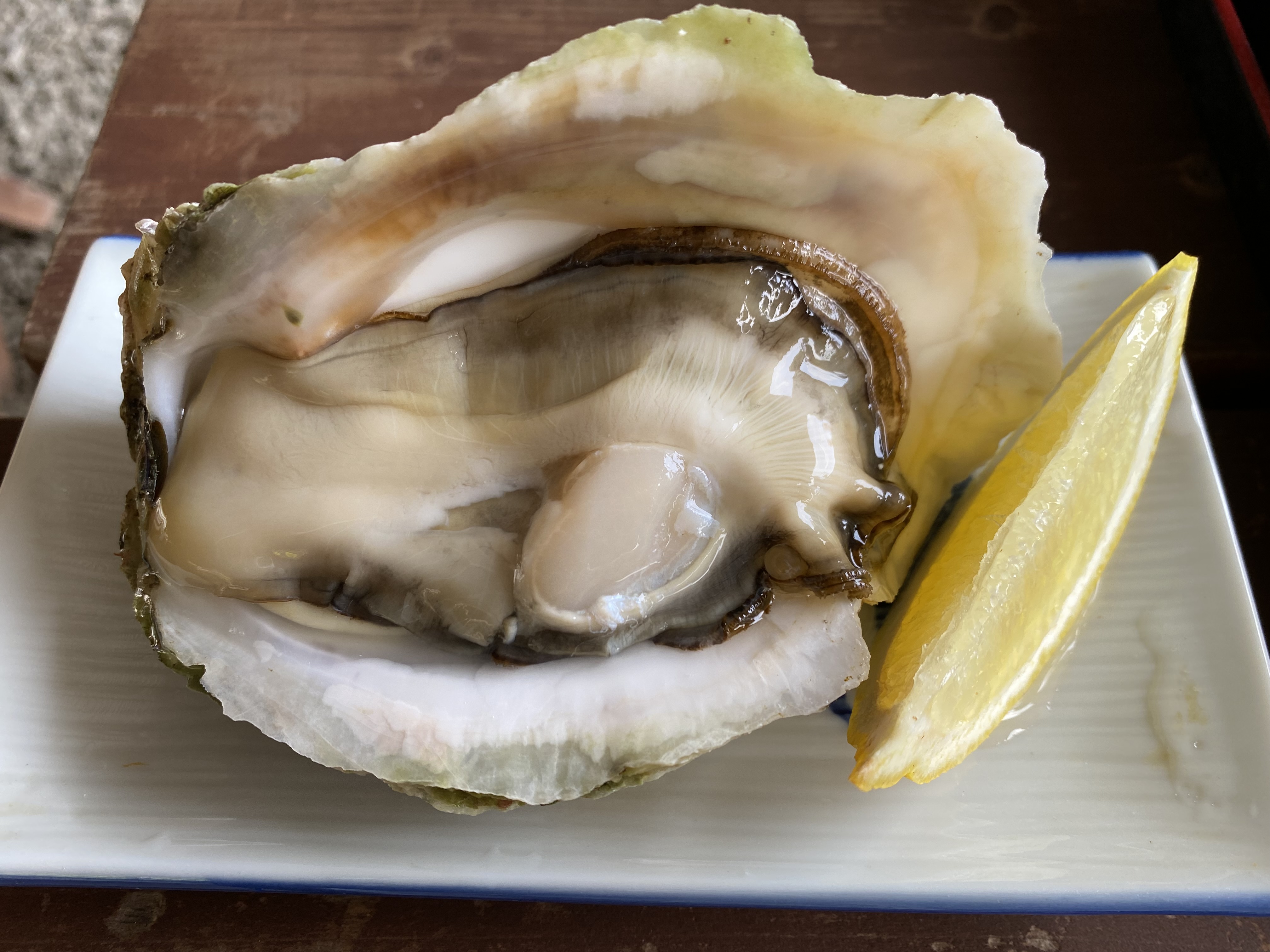 1. Seasonal Food: Oki Rock Oysters (iwagaki oysters)