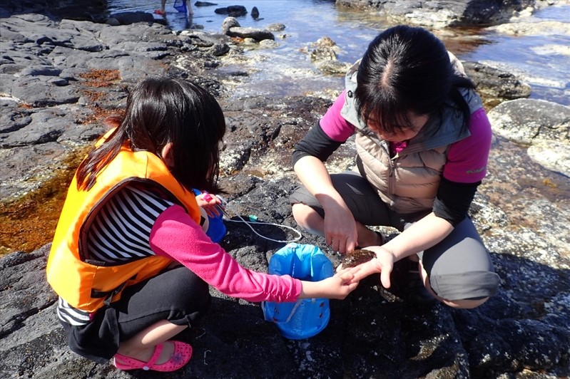 プライベート水族館「磯de水族館」