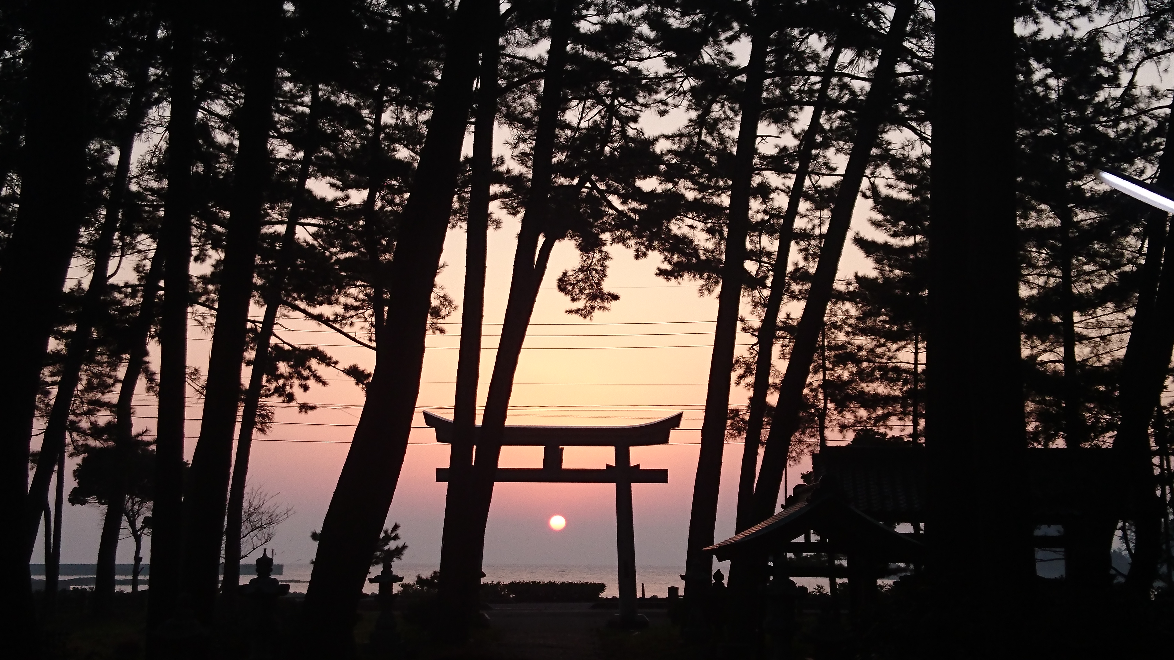 【隠岐４島の「名神大社」をぐるっと回る周遊コース】