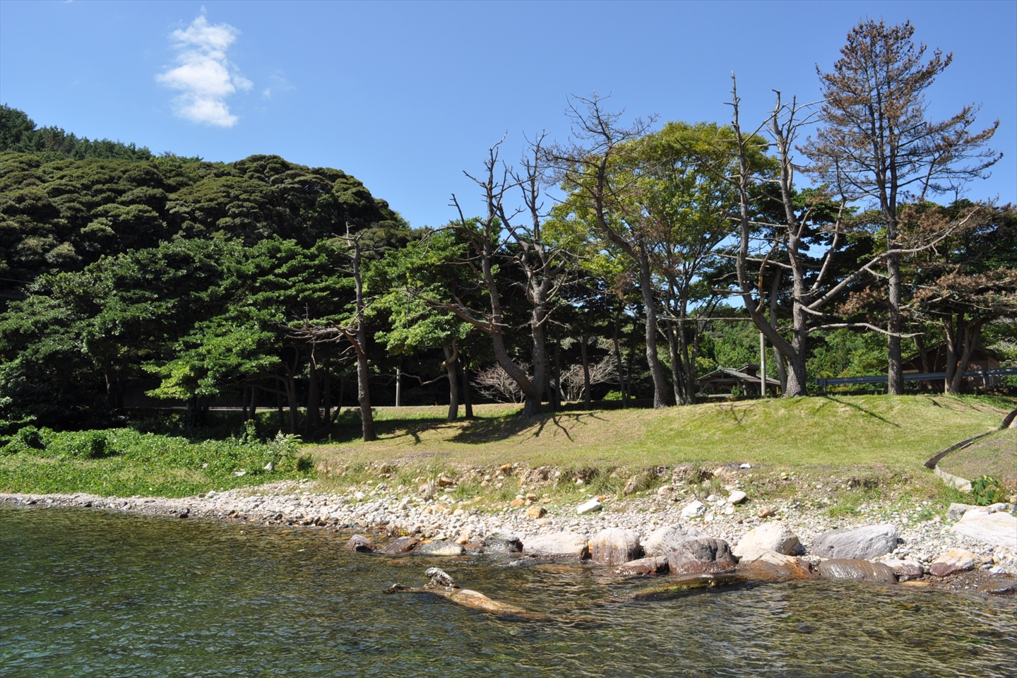 Tatsugi Campground, where mountains and sea come together