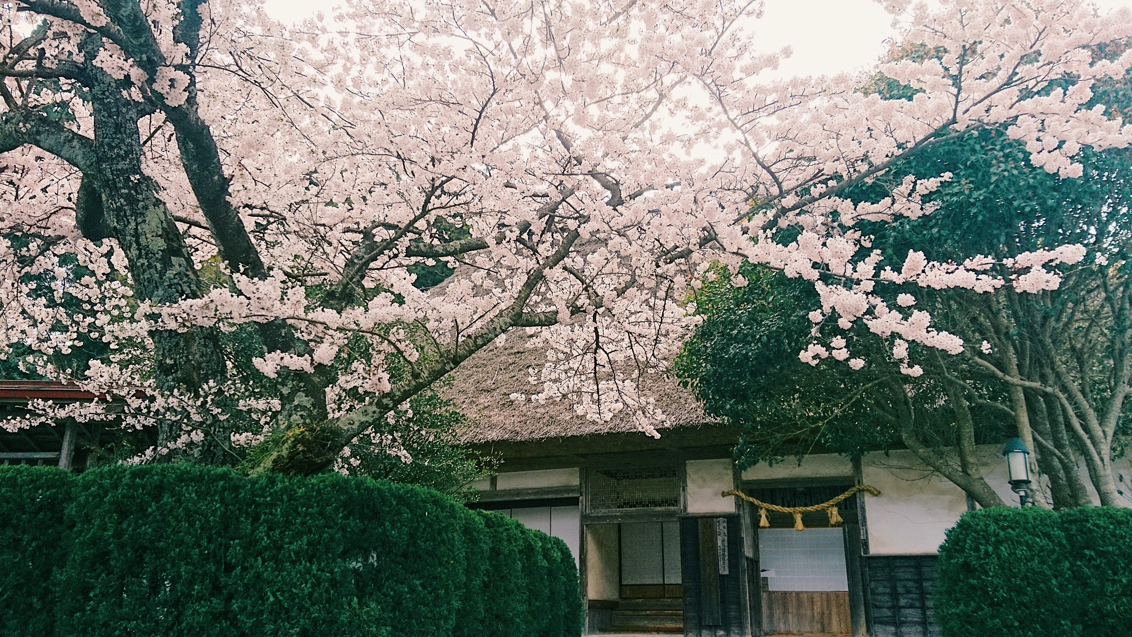 Oki-ke Traditional Residence & Museum