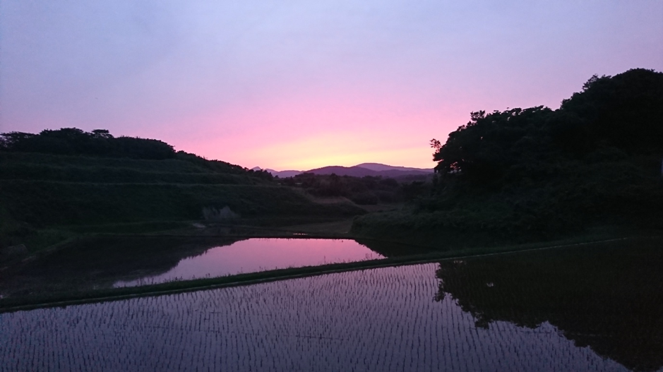 Taka’s Favorite / Mt. Kinko-ji