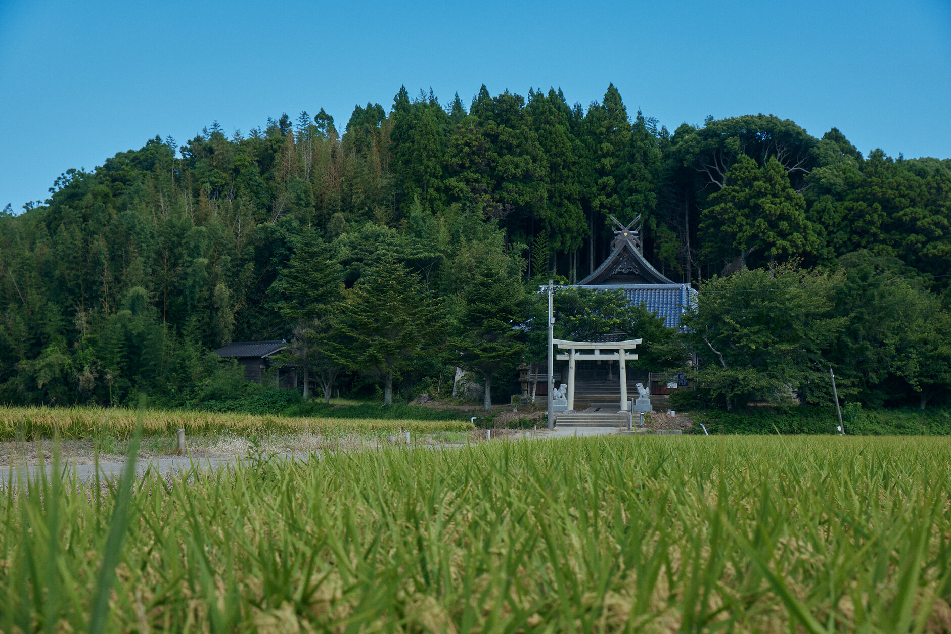 Uzuka-mikoto Shrine, Ama Town