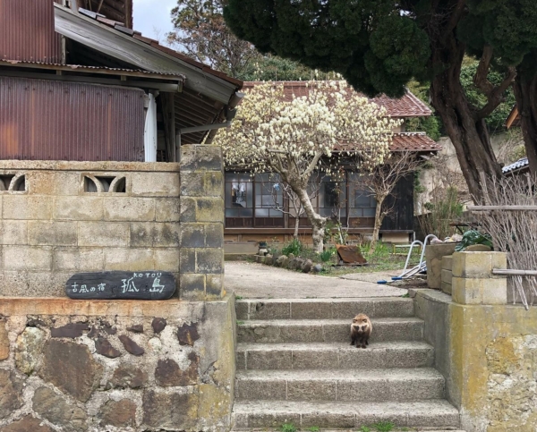 古風の宿孤島【おき得対象】