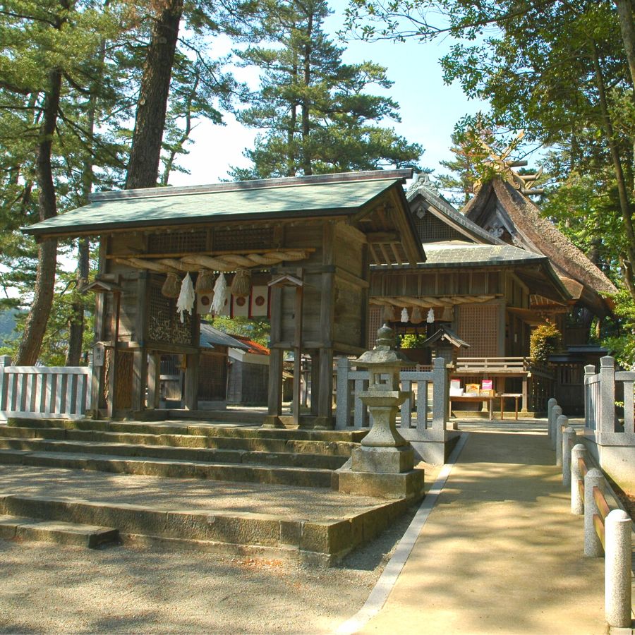 【春】の自然でリフレッシュ | 隠岐4島の絶景・自然めぐり（伊丹空港から往復飛行機）