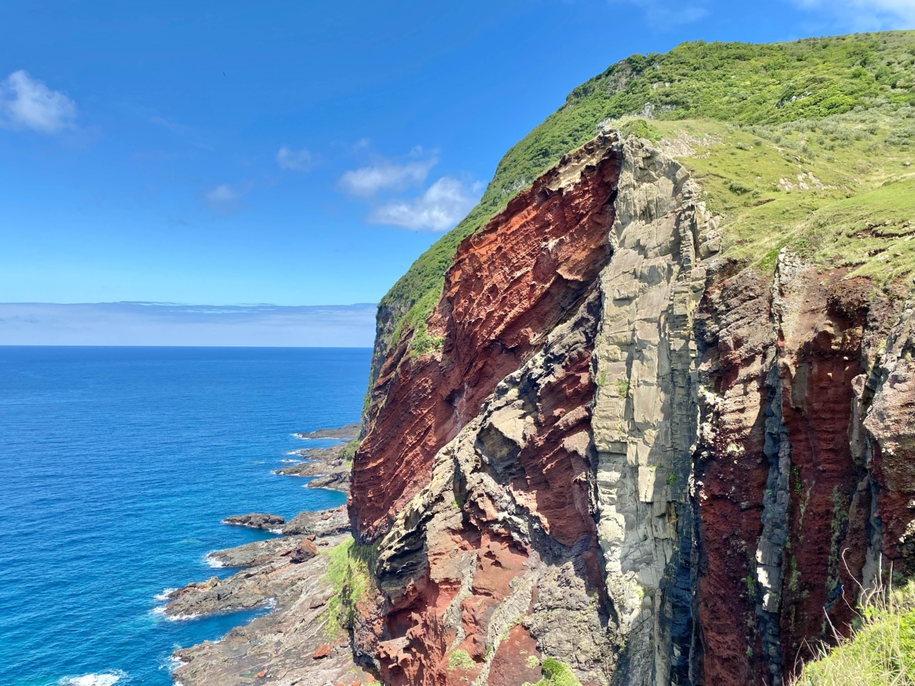 【春】の自然でリフレッシュ | 隠岐4島の絶景・自然めぐり（伊丹空港から往復飛行機）