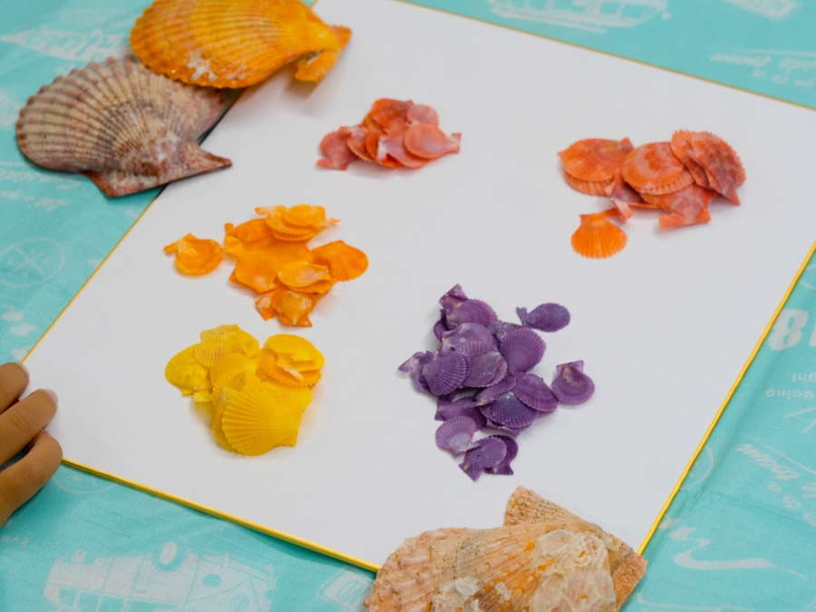 おき得対象】ひおうぎ貝の創作体験 | 体験予約 | 隠岐の島旅【公式】