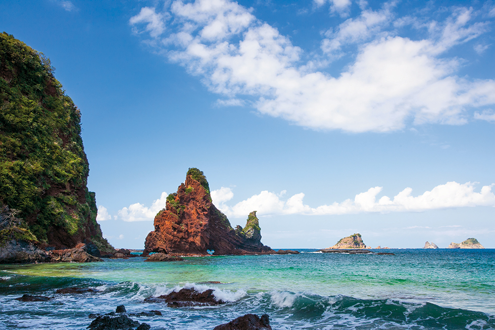 【春】の自然でリフレッシュ | 隠岐4島の絶景・自然めぐり（伊丹空港から往復飛行機）