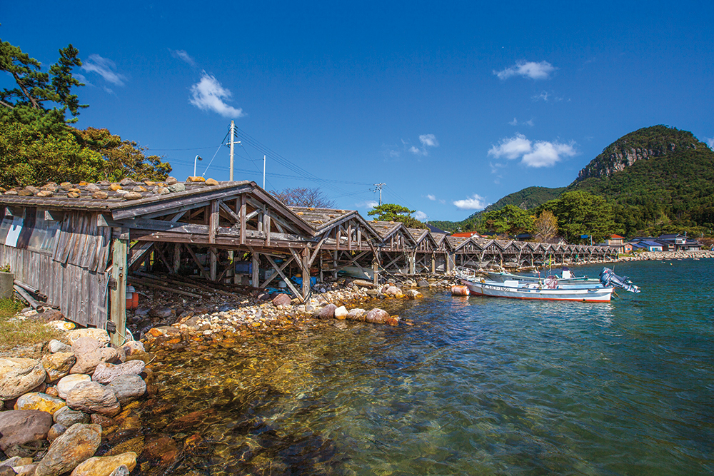 【春】の自然でリフレッシュ | 隠岐4島の絶景・自然めぐり（伊丹空港から往復飛行機）