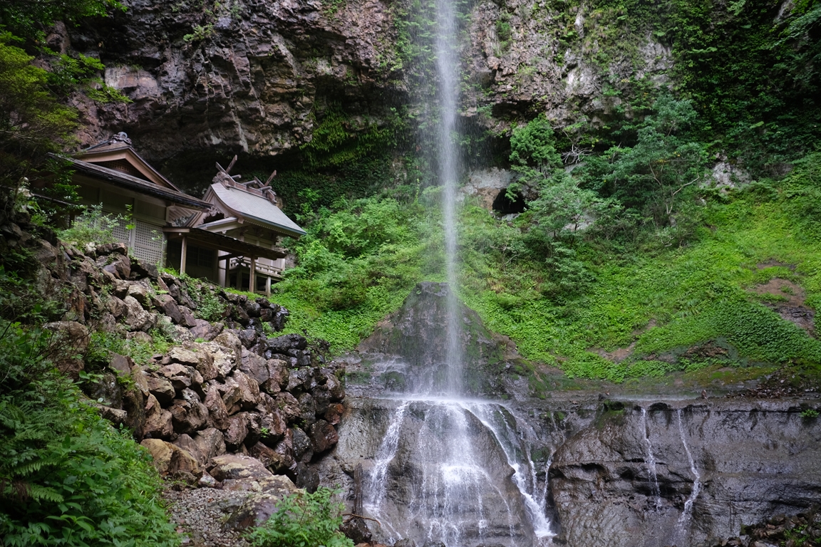 【春】の自然でリフレッシュ | 隠岐4島の絶景・自然めぐり（伊丹空港から往復飛行機）