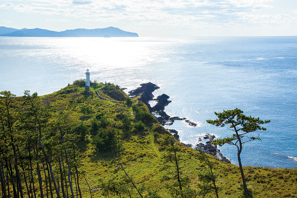 【春】の自然でリフレッシュ | 隠岐4島の絶景・自然めぐり（伊丹空港から往復飛行機）