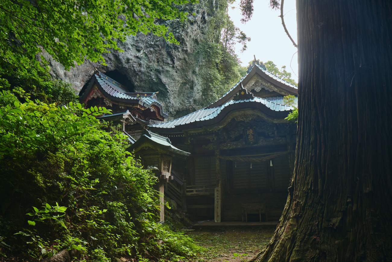 【春】の自然でリフレッシュ | 隠岐4島の絶景・自然めぐり（伊丹空港から往復飛行機）