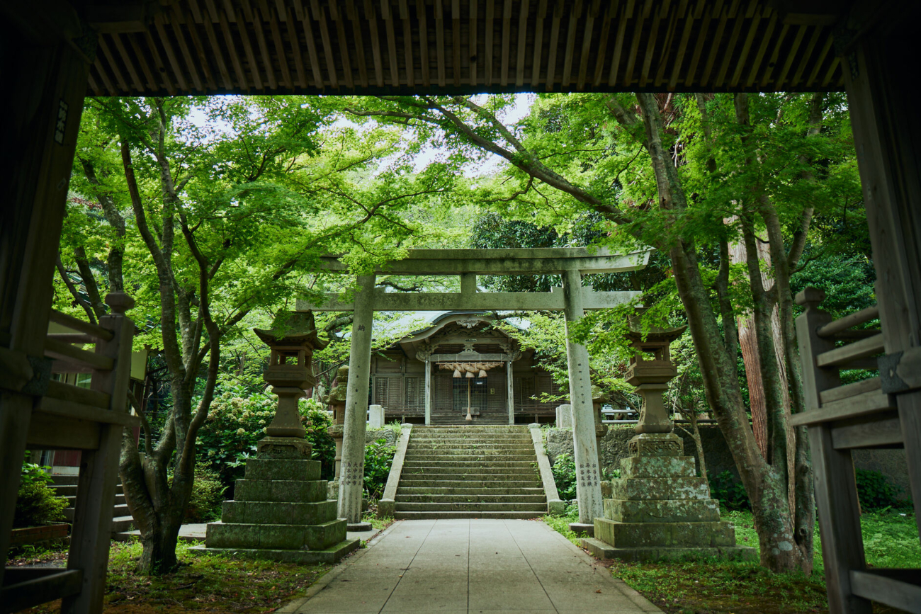 【春】の自然でリフレッシュ | 隠岐4島の絶景・自然めぐり（伊丹空港から往復飛行機）