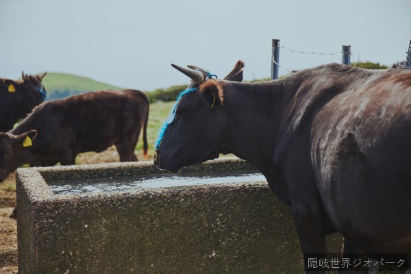 赤ハゲ山3